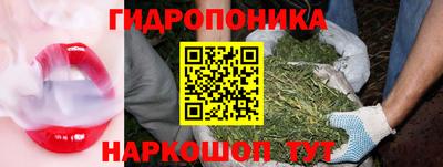 стаф Гусев