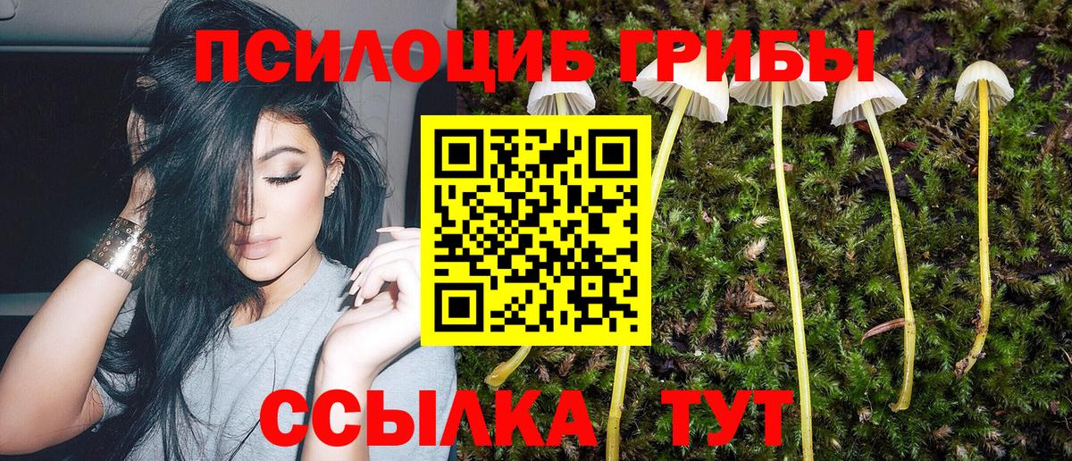 Псилоцибиновые грибы ЛСД  сколько стоит  Мариинск  Вход с VPN 